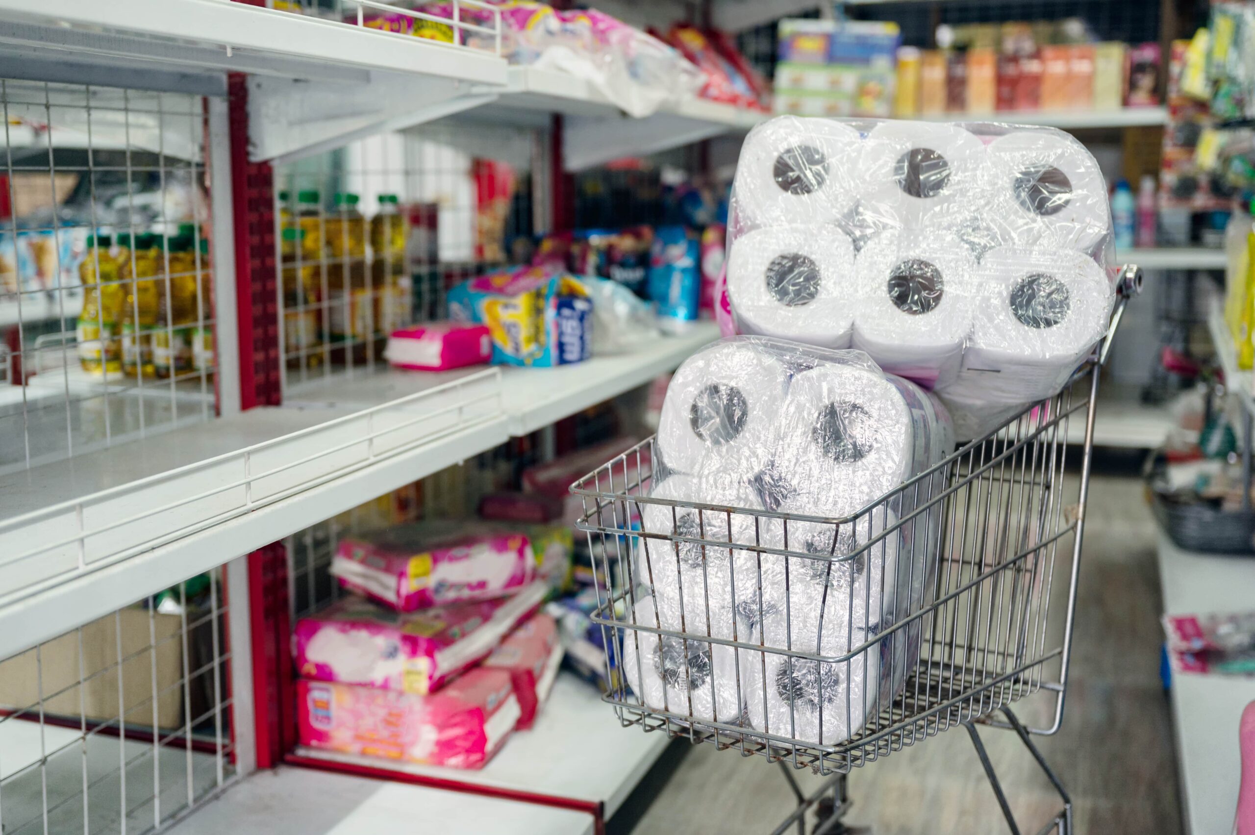 Toilet-paper in a shopping cart - Everest Wealth