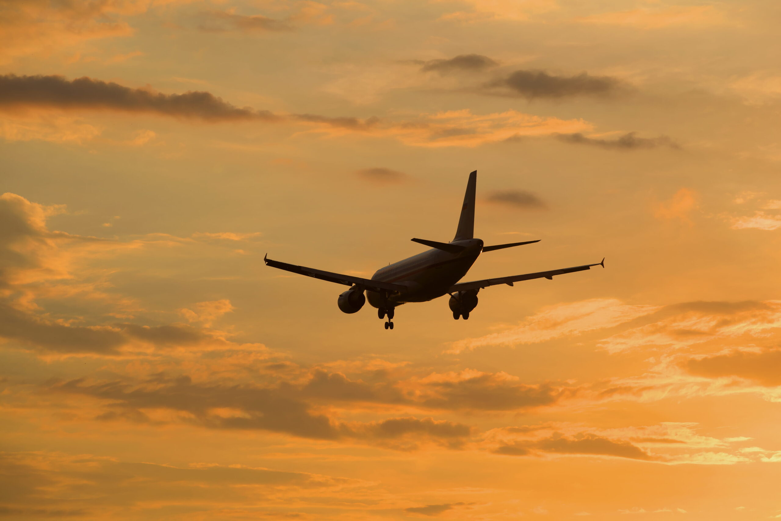 A Fragile Start to 2026 for South Africa (Plane taking off over the sunset)