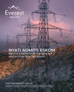 Nyati Admits Eskom Service Problems (A row of electricity pylons)